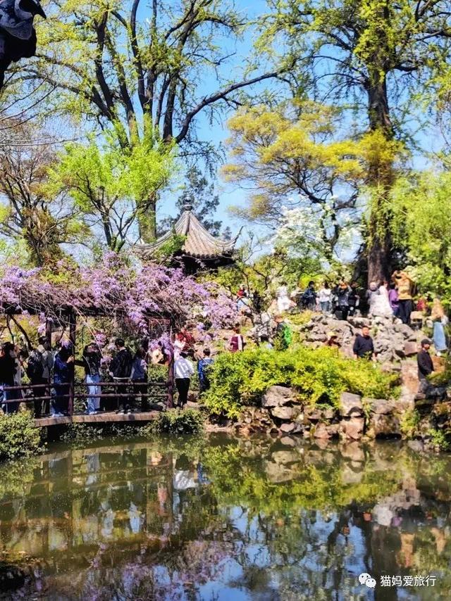 苏州山塘街攻略，苏州山塘街美食最强攻略（周末轻松苏州游）