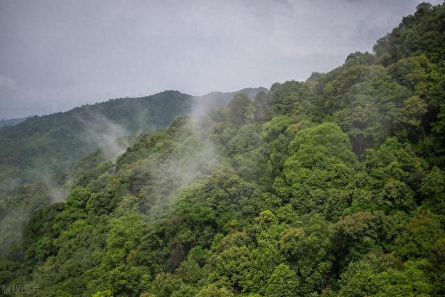 惠州旅游全攻略，广东惠州的正确打开方式