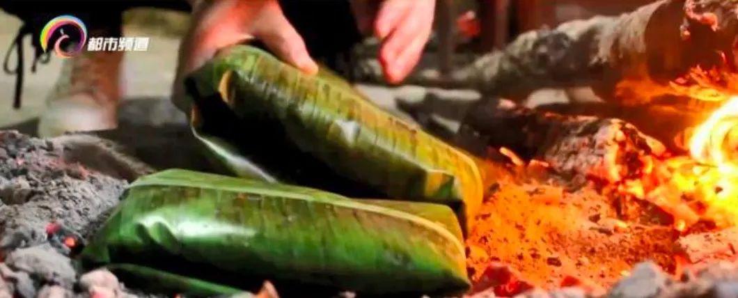 芭蕉根的功效和作用，芭蕉根的功效和作用是什么（橄榄树皮入菜、芭蕉树心凉拌...这些特殊风味有什么养生之道）