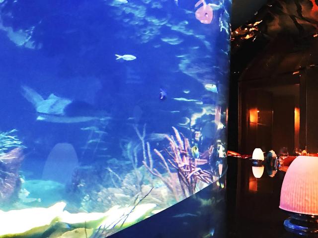 迪拜帆船酒店简介，迪拜帆船酒店介绍（80张高清图带你走进迪拜七星级帆船酒店）