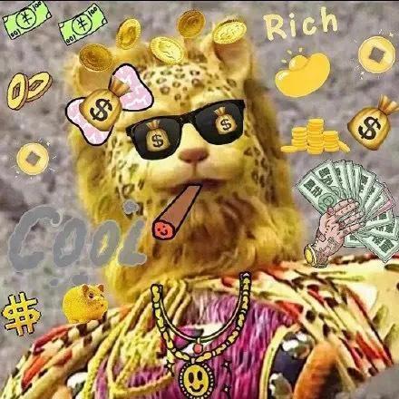 金钱豹头像图片，金钱豹头像✨微信（最全金钱豹头像！请叫我谢谢）