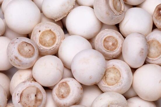 白蘑菇煮多久能熟，白蘑菇煮多长时间能熟（白蘑菇怎么做好吃）