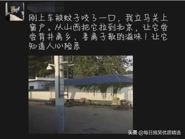 别扒拉我恐龙情侣头像，恐龙情头微信（神回复：这是什么样的古董）