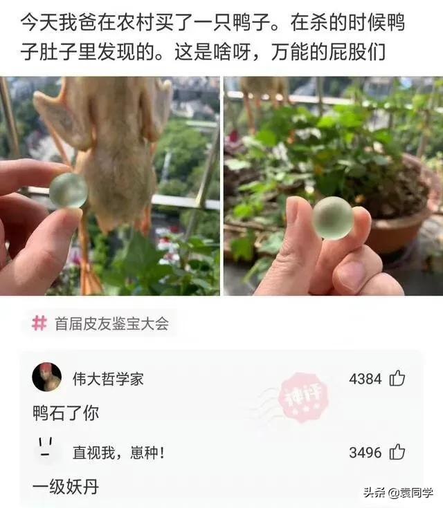 同桌的你歌词改编恶搞，你是怎么把歌词写在身份证上的