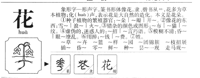 花字的结构是什么，花字的结构是什么意思（苗凤花方——字源里的百家姓丨文兴书舍）