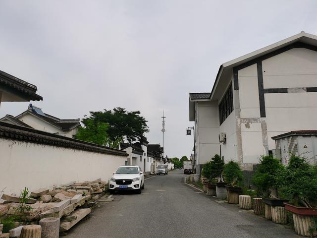 碧螺春产于哪里，碧螺春主要产于哪里（碧螺春又称\