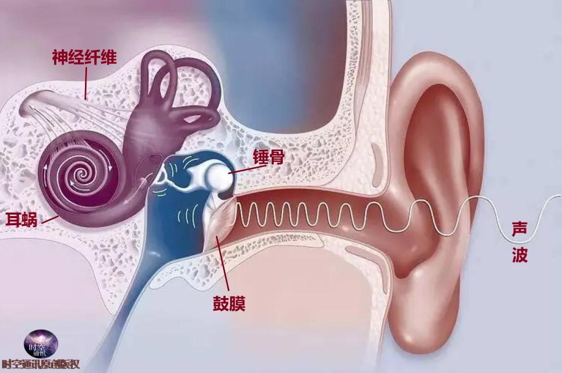 电磁波能在真空中传播吗，电磁波能否在真空中传播（在真空状态下能打电话吗）