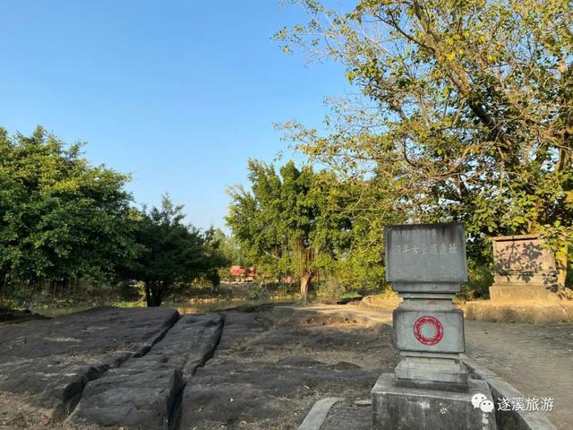 2022湛江旅游攻略，一个风光秀美的海滨城市（广东湛江：嗨翻一“夏”）