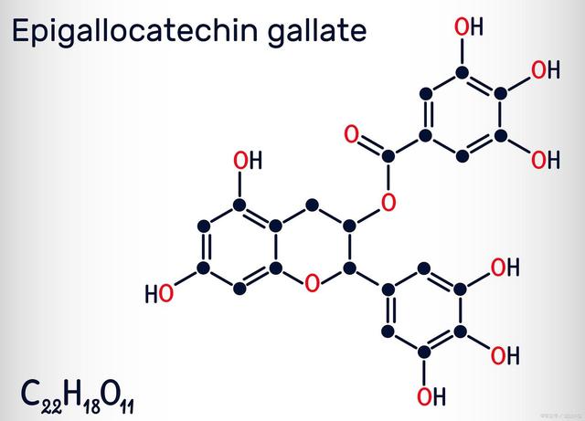 egcg是什么东西，十大抗癌食物排名（茶叶科普丨绿茶的灵魂——EGCG）