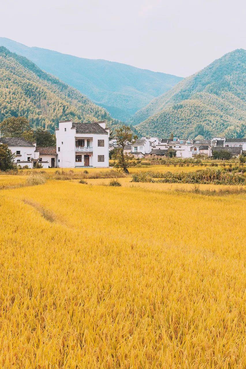 桃花源水上人家（寻一处静谧古镇小住几日）