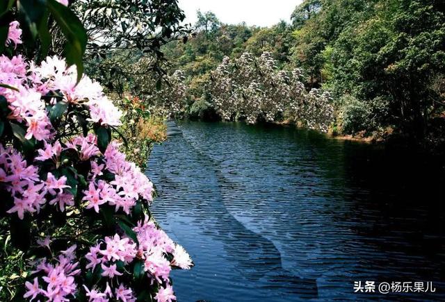 南宁旅游景点最值得去六个景点，南宁景点介绍 南宁旅游景点（超级推荐这5个打卡点）