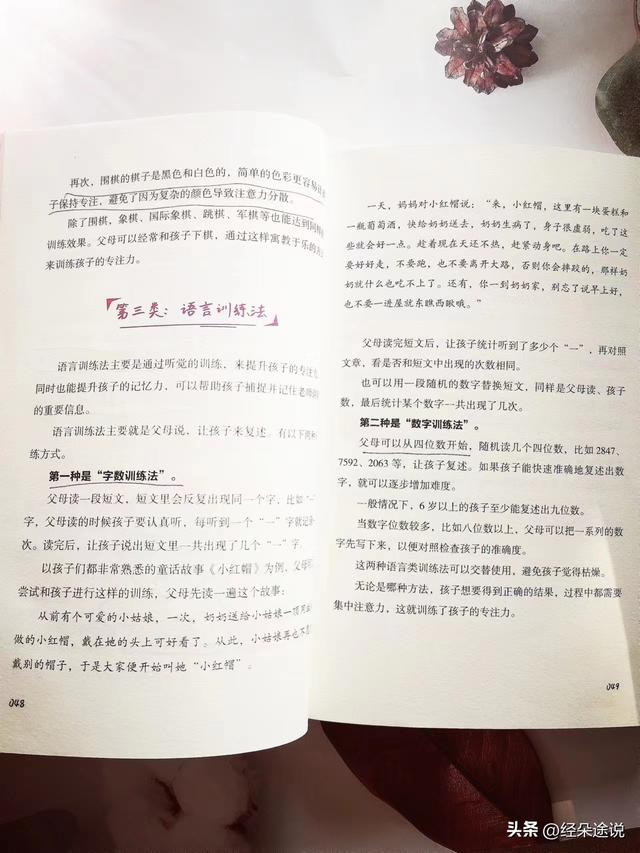 培训孩子注意力集中，如何培训孩子注意力（这4类训练方法你不得不知）