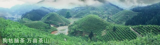 国家地理标志保护产品，黑龙江省十大著名国家地理标志保护产品是什么（江西的国家知识产权局认定的国家地理标志保护产品）