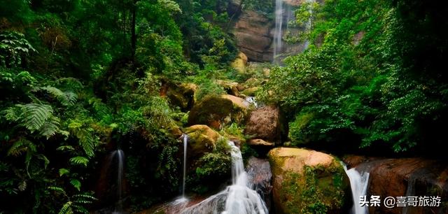 关于赤水市介绍，赤水市在哪里（贵州省遵义市赤水市十大景区有哪些）