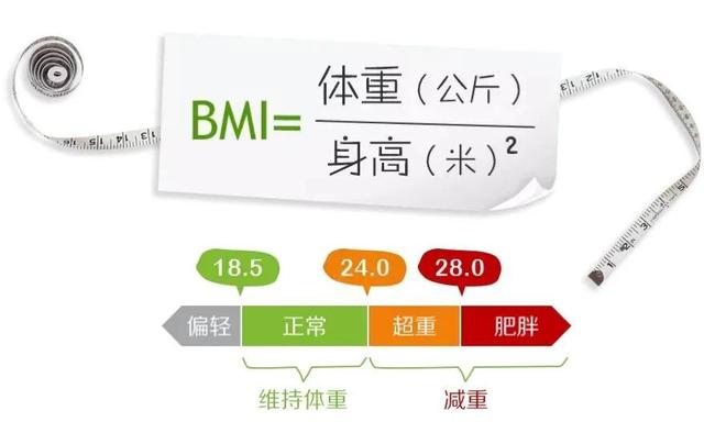 大基数是什么意思，核准基数什么意思（如何判断自己是大基数还是小基数）