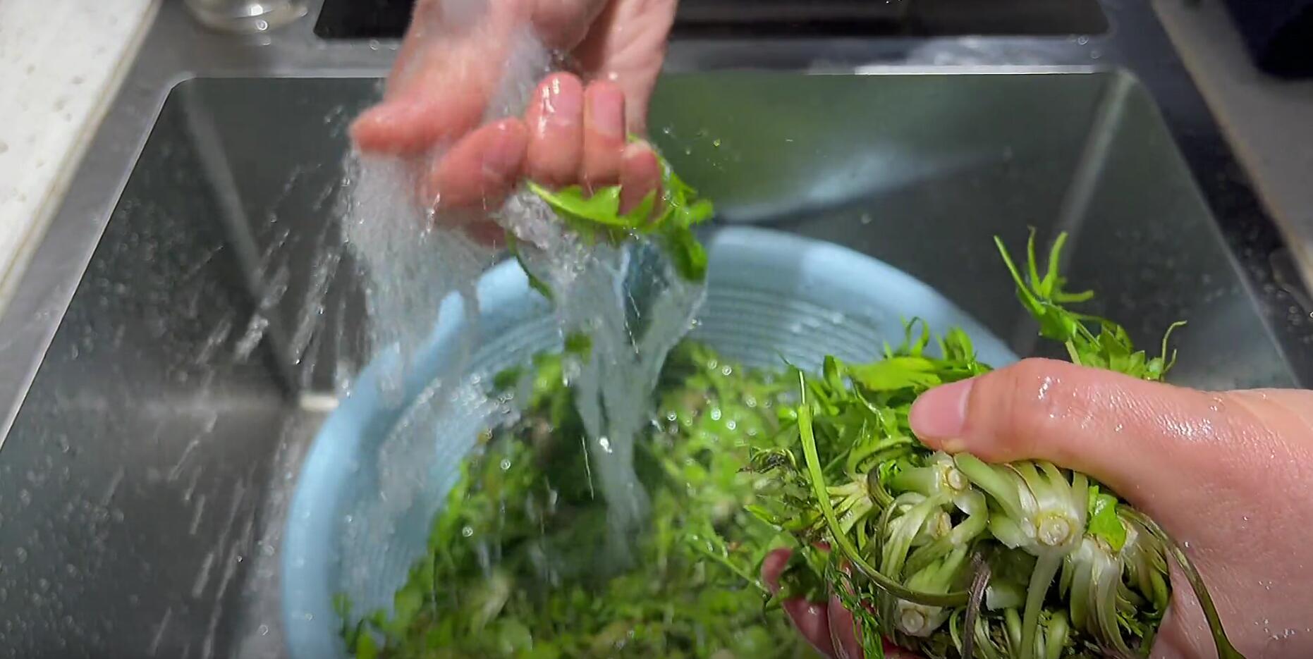 护肝第一名的野菜，养肝护肝第一名（藏在草丛中的“护肝猛将”）