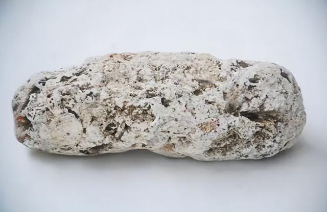 浮石属于哪种岩石，钱塘江闸口有人捡到白色浮石（浮石属于什么岩）
