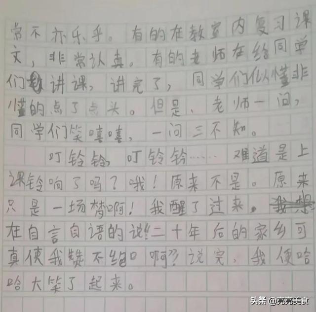 二十年后的家乡300字优秀作文，二十年后的故乡作文300字4篇（小学二年级作文《二十年后的家乡》附）