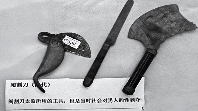 太监净身净的是那个部位,太监净身是哪里(揭秘古代太监阉割细节)