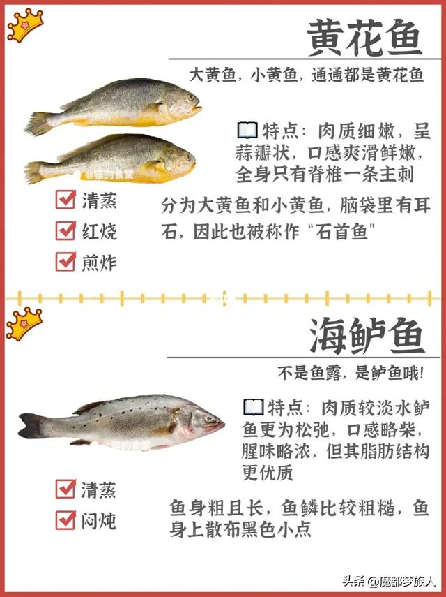 常见的海鱼120种，科普下常见海鱼品种。
