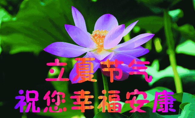 夏至,祝大家清凉一夏(立夏节气祝福送) - 生活常识 - 郯城号