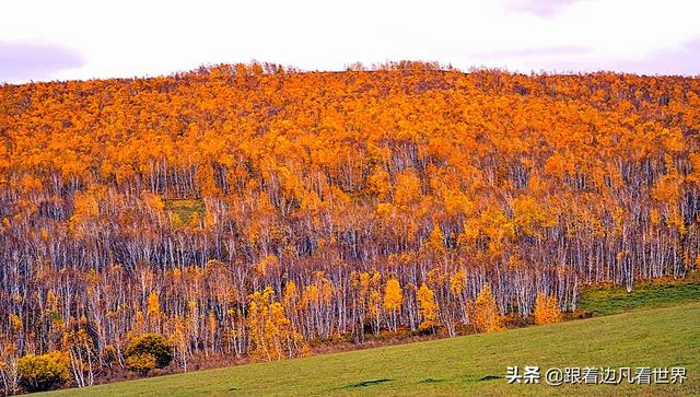 阿尔山的风景，《走进内蒙》景色迷人