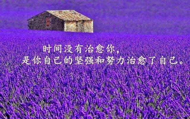 哲學句子說說心情短語,很哲學的句子說說心情(適合發朋友圈的人生哲理