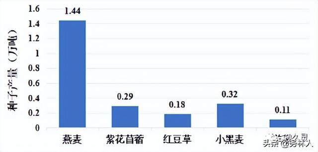 狗牙根草籽多少钱一斤，狗牙根草种子多少钱一斤（2023年度全国草种供需分析报告）