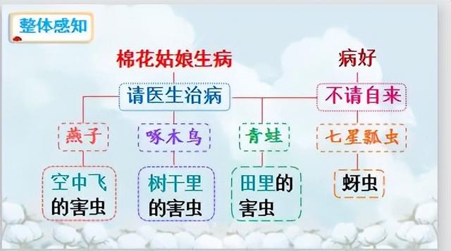 燕字的结构是什么,燕字的结构是什么结构(一年级语文下册课文19《棉花