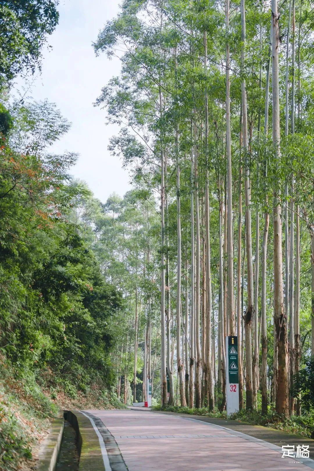 宝安中心地铁站(宝安客运中心附近地铁站)