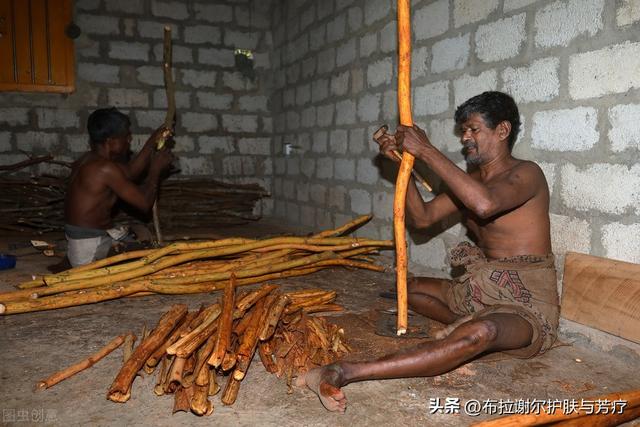 肉桂精油的功效与作用，肉桂油的功效与作用（还有更多你不知道的使用场景）