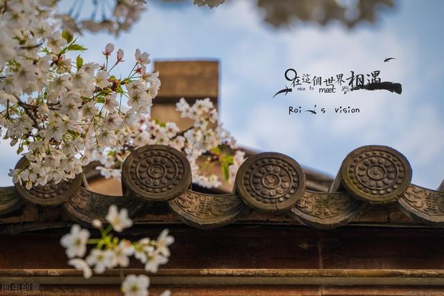 无法挽回的句子，无法挽回的句子图片（再多的后悔与道歉都挽回不了最初的心……）