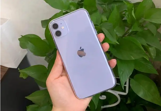 苹果11处理器，苹果11尺寸长宽多少厘米（三年前的iphone11）