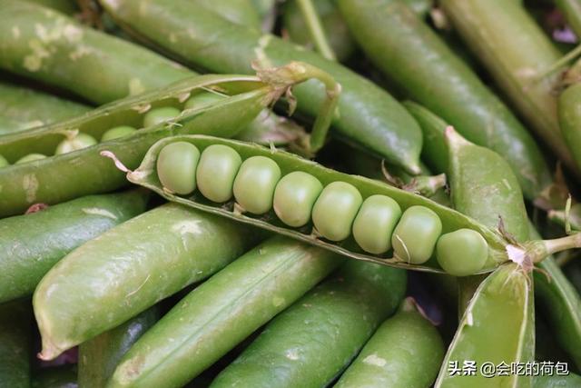 新鲜蔬菜怎样保鲜，新鲜蔬菜保鲜方法（带你学会13种蔬菜的贮存技巧）