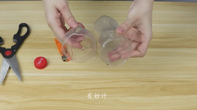夏季消灭蚊子的小妙招，夏季消灭蚊子的小妙招视频（只需用啤酒搭配白糖）