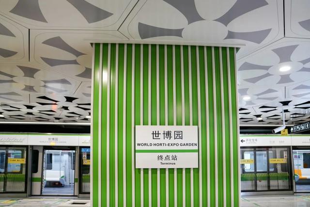 豹龟结石，昆明地铁5号线，首！发！见（肾结石会有啥症状）