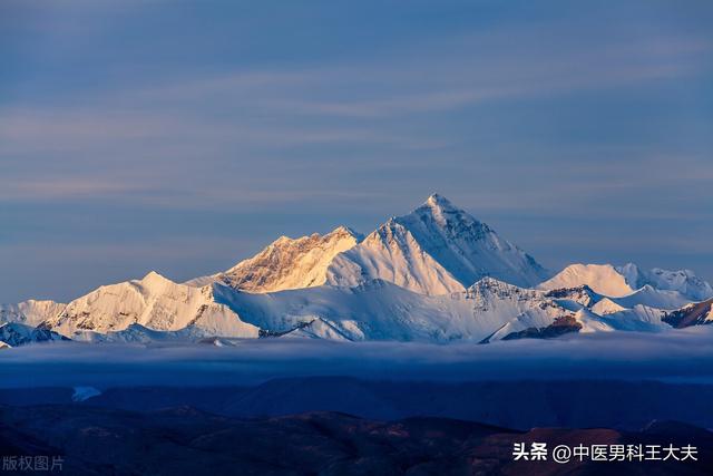 恢复海绵体最好的办法，海绵体受损多久恢复（重用蜈蚣通络活血）