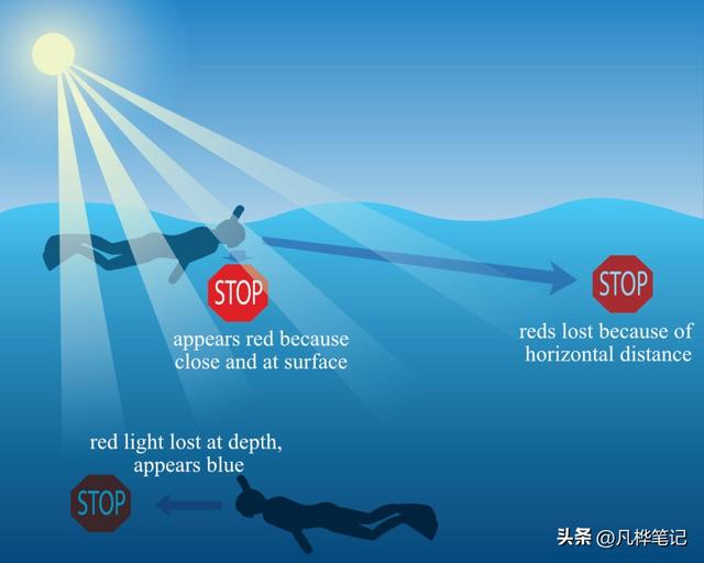 水下摄影注意什么，水下婚纱摄影（初学者的10个水下摄影技巧）