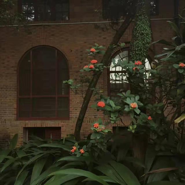 文字/风景/唯美背景图.“远方传来风笛 我却在意有你的消息”，风来自远方去去也无妨背景图（无状态也可以发的文案）