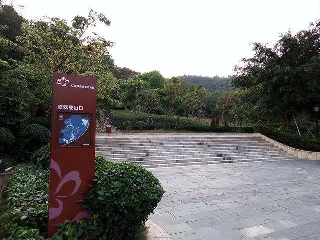 深圳地铁31号线，深圳地铁31号线最新规划图（210万建面保利旧改）