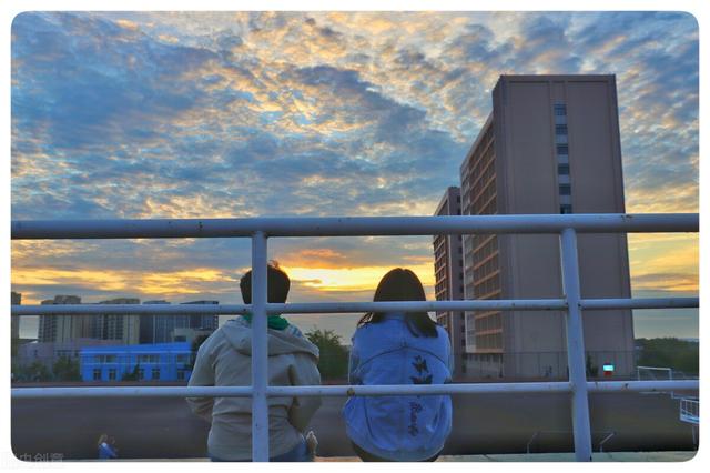 山东农业大学在哪，山东农业大学有哪些专业（被青岛很多家长们低估的省内名校——泰安的山东农业大学）