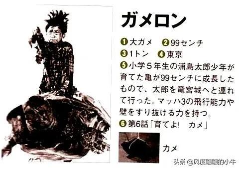 手q是什么意思，手Q是什么意思（奥特Q怪兽图鉴）