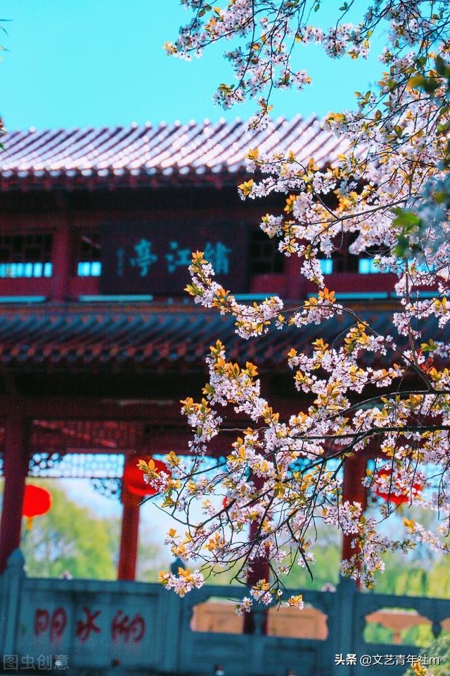 李清照的爱情故事，赵明诚和李清照的爱情故事（李清照的爱情故事评价）