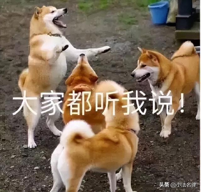 知道姓名怎么查身份证号，知道名字怎么查身份证号（如何查询对方是不是老赖）