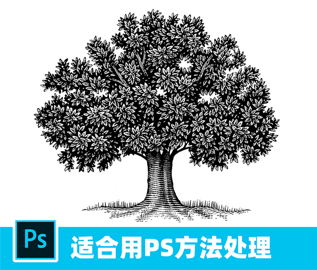 ai转曲怎么转，AI软件来绘制版画风格的插画教程