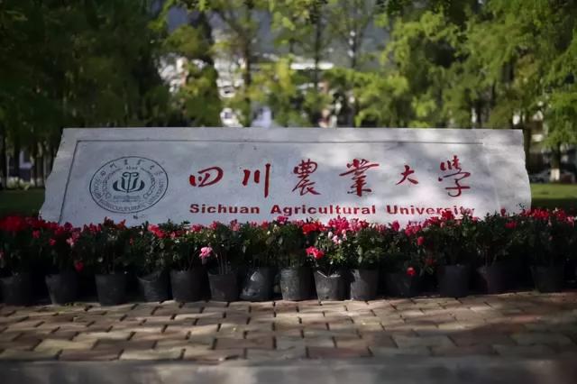 四川财经类大学排名，校友会最新版（四川高校最新排名已出）