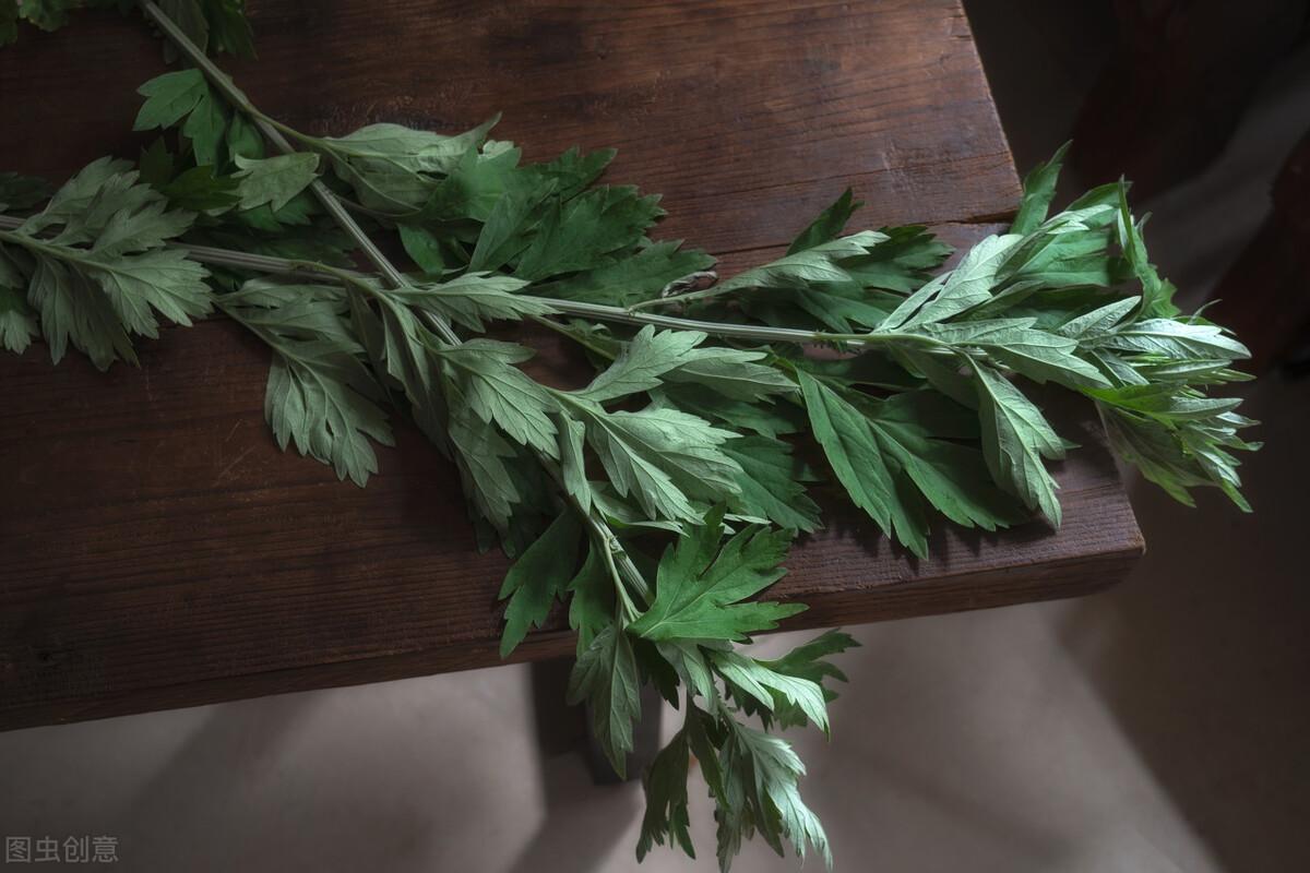 端午节挂艾草的寓意，端午节挂艾草的寓意简介（端午节在门口插艾草的寓意）