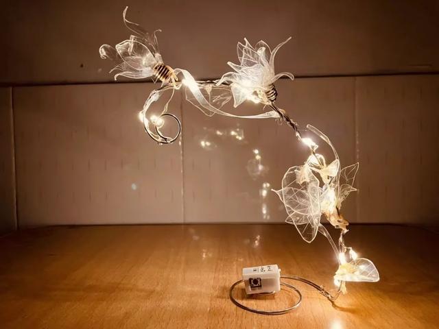 中学生科技小制作，中学生科技小（邓州市六高中科技小制作作品展）