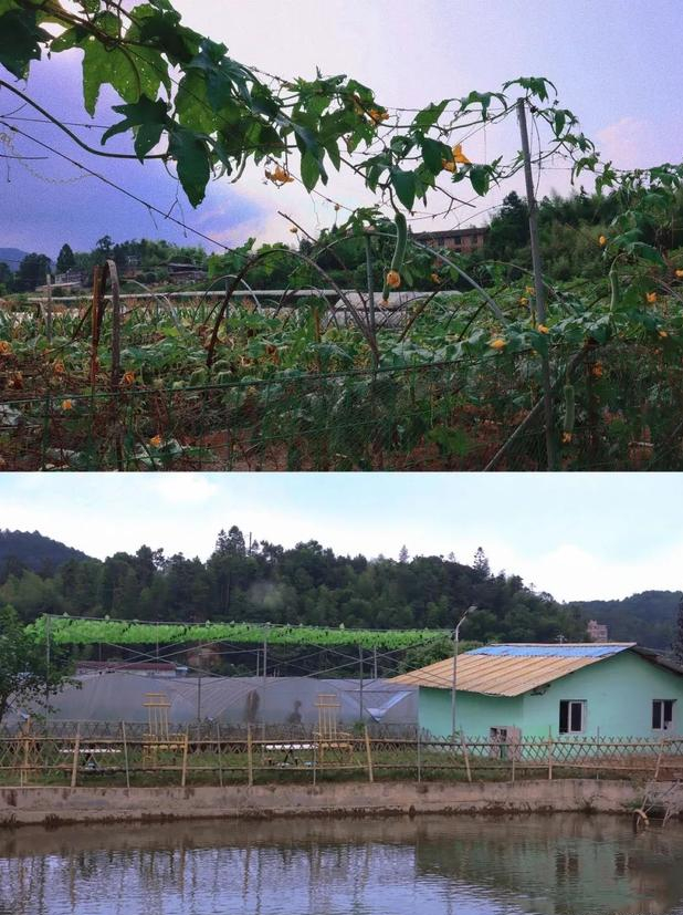 福州旅游必去十大景点，福建旅游必去十大景点有哪些（福州这13个宝藏地方）