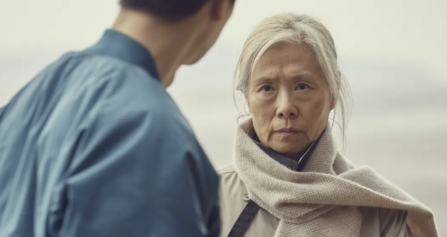 暗黑者2结局解析，暗黑者2结局解析视频（揭开了一位老年人遭“性侵”后的生活真相）